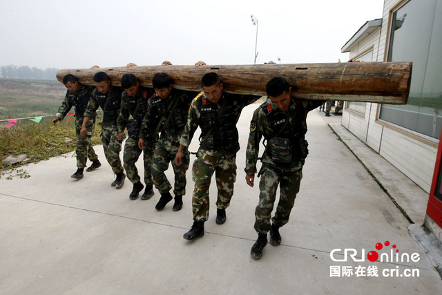 图片默认标题