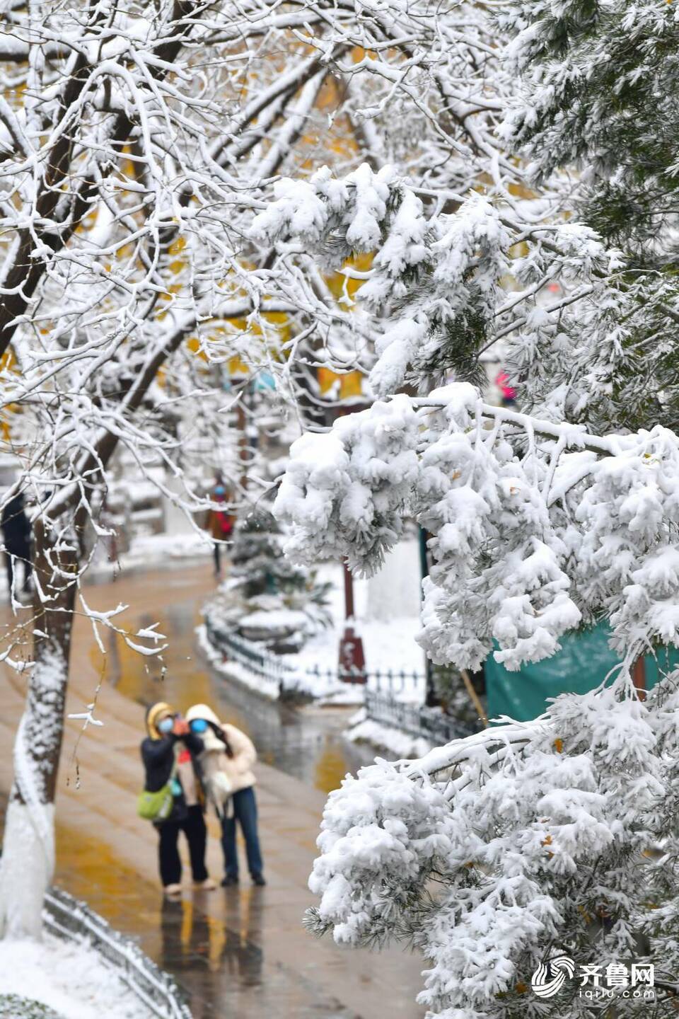 雪后的济南大明湖不只“银装”，原来还有那么多色彩！