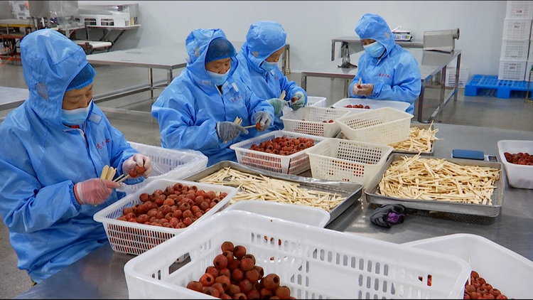 河北承德：特色产业激活乡村振兴“新动能”_fororder_图片3