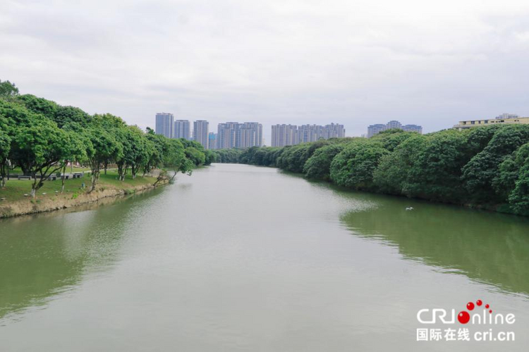 乘“水上巴士” 感受莆田的“城市绿肺”_fororder_图片4
