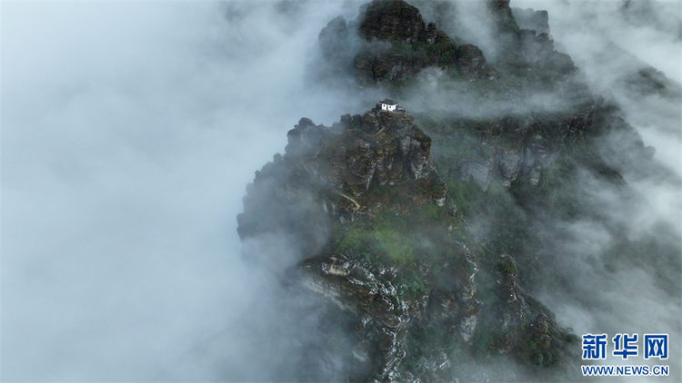 贵州梵净山：迎来立冬后首场雾凇景观