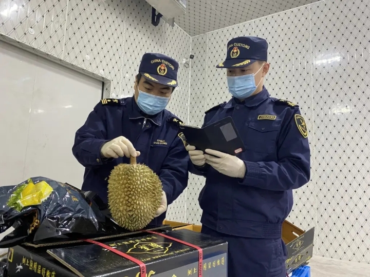 金华海关优质服务护航综保区冷链食品进口_fororder_1734835109829427200_720px