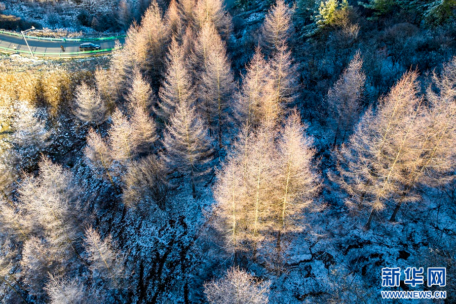 重庆巫溪：红池坝雪后云海