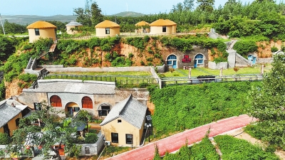 乡村游的“辩证法”——平顶山推进农文旅深度融合探析