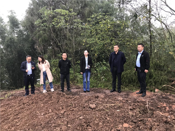 重庆大足万古镇人大：助推耕地“非粮化”整治 筑牢粮食安全“生命线”_fororder_图片2