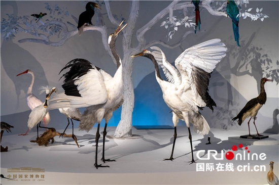 中国国家博物馆首个自然生态类展览展现生物多样之美_fororder_b5930e5ca23f42a4b82eabc47b96e571