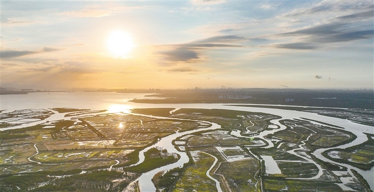 儋州湾：湿地落日美如画_fororder_5950169_hnrbtp2_1700148595006_s