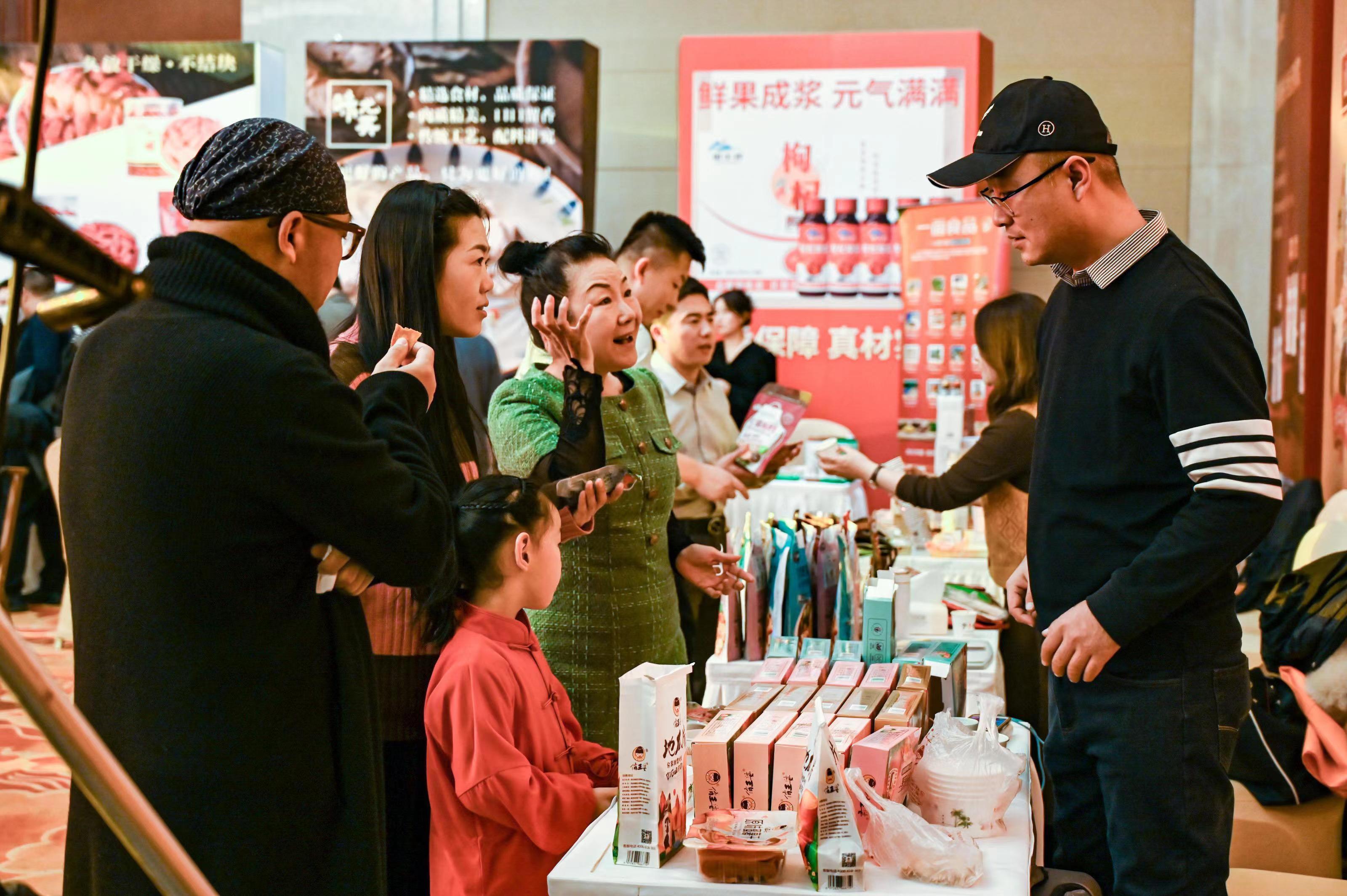 政府创新 商会赋能 投资宁夏银川推介会在天津举行_fororder_2