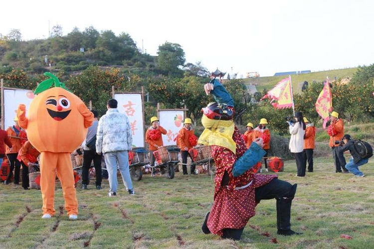 江西南丰喜迎第十六届蜜桔节 “甜蜜”产业结出幸福果_fororder_图片4