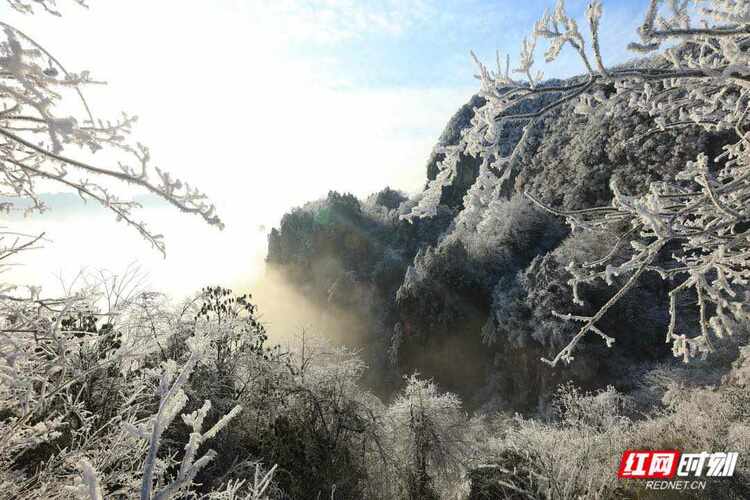 张家界国家森林公园冬天有多美？ 这组雪后大片饱眼福