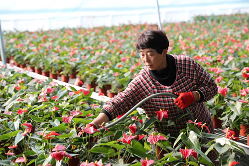图片默认标题_fororder_c7e08631dc21daa02b6b0b8f3b9d611