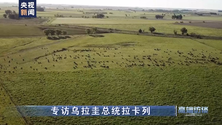 高端访谈丨专访乌拉圭总统拉卡列