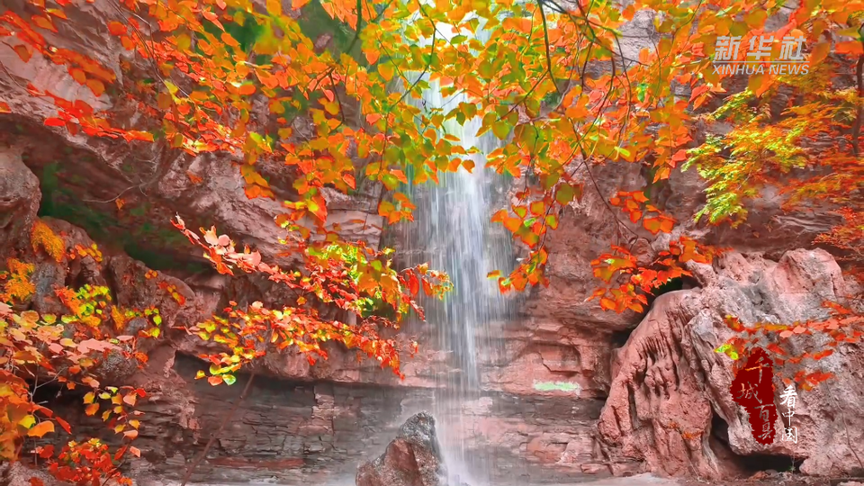 山东枣庄：多彩冬景美如画