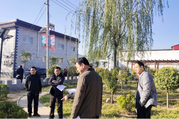 河北晋州：学干结合促乡村振兴_fororder_河北晋州：党建观摩抓示范 比学赶超促发展492