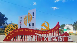 石嘴山市惠农区银河村：石榴花红映“银河”