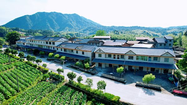【主题教育进行时】福建建宁：推动主题教育见行见效