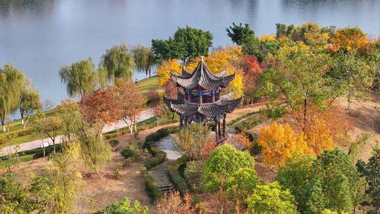 眉山仁寿：半是秋景半是冬_fororder_仁寿美景-供图--仁寿融媒体中心