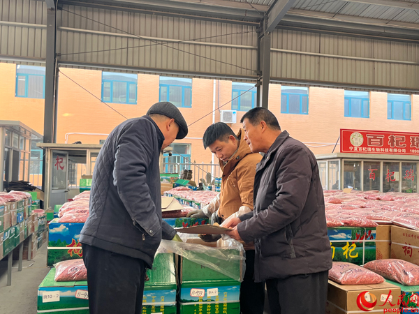 金融服务“量体裁衣”精准施策 让“小枸杞”成为“大产业”