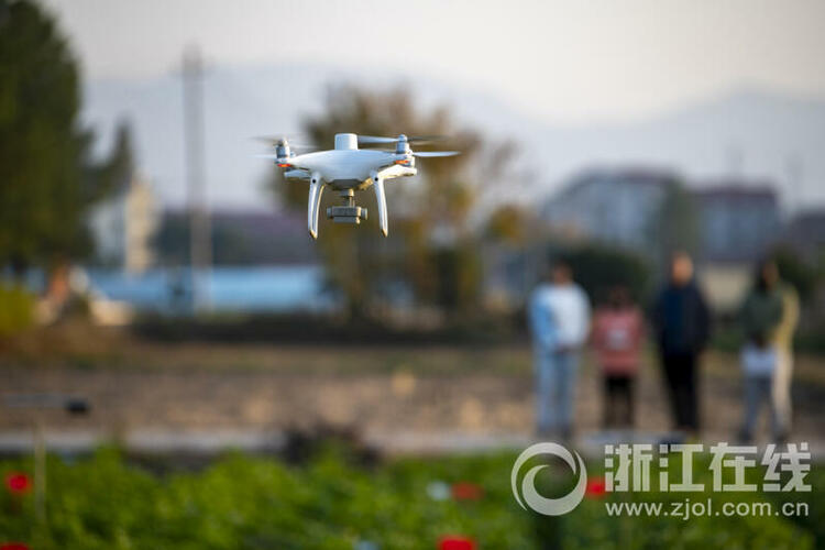 金华：智慧新技术助力农业生产_fororder_W020231129320108754197