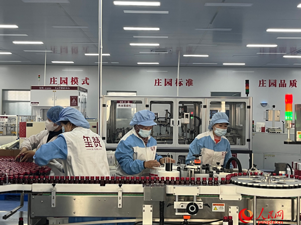 金融服务“量体裁衣”精准施策 让“小枸杞”成为“大产业”