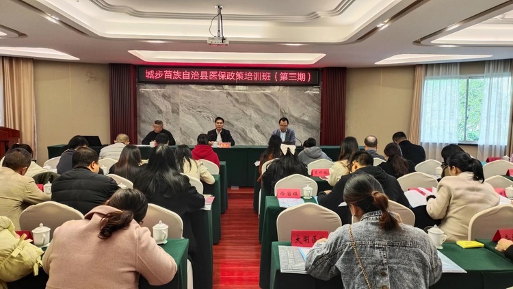 湖南城步推行医保经办“身边办” 打通服务群众最后“一公里”