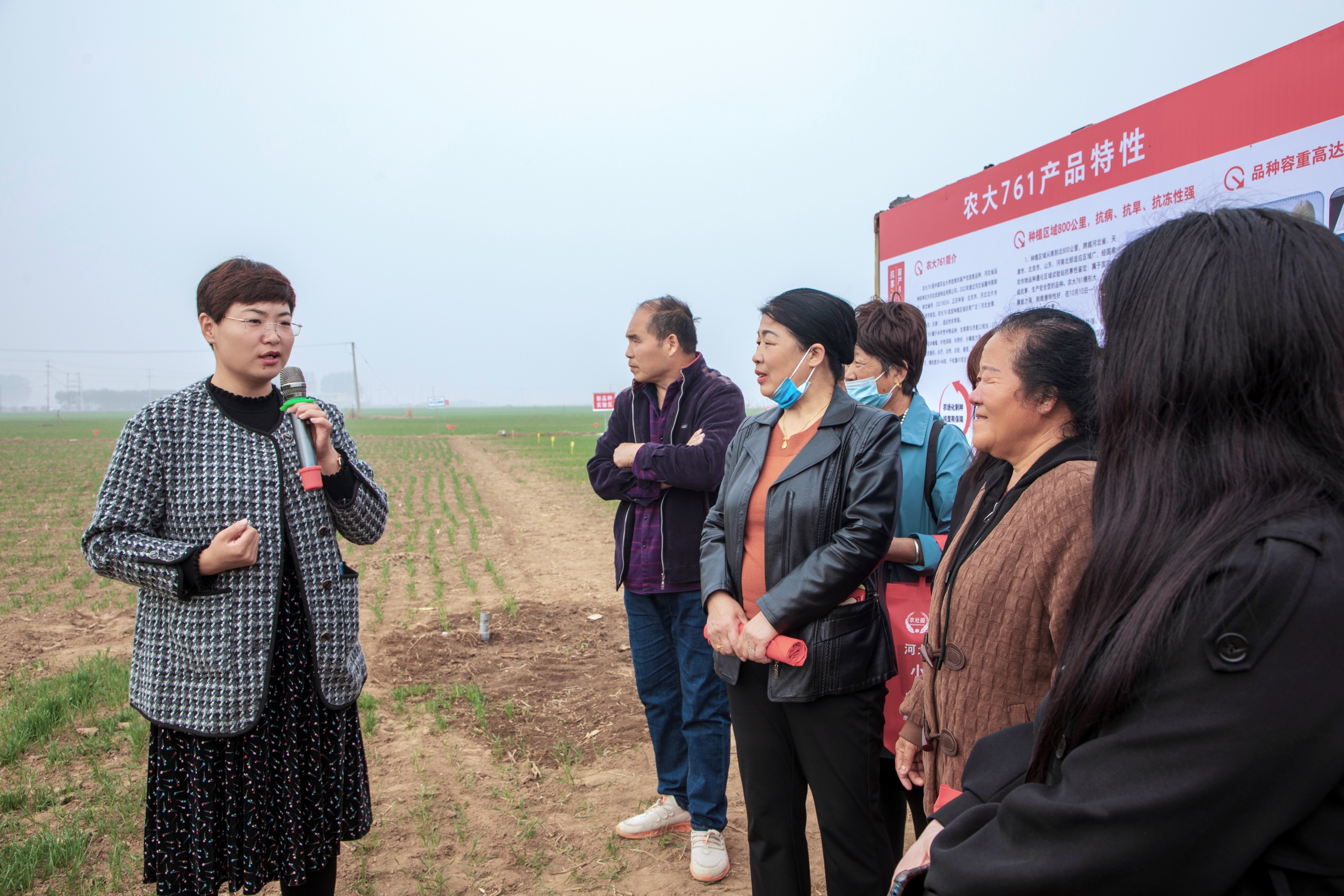 保定市徐水区：“博士农场”满眼春_fororder_乡村“田秀才”成为科技兴农带头人。刘柯旋摄