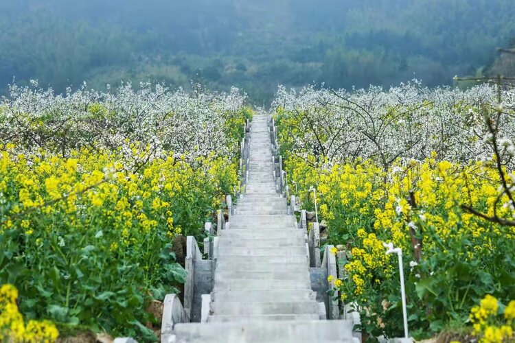 绘就苗乡振兴新画卷 ——湖南省城步苗族自治县乡村振兴发展纪实_fororder_微信图片_20240102144647