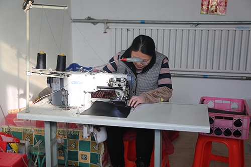 河北定兴：多举措支持自主发展 助推脱贫成果巩固_fororder_001.JPG
