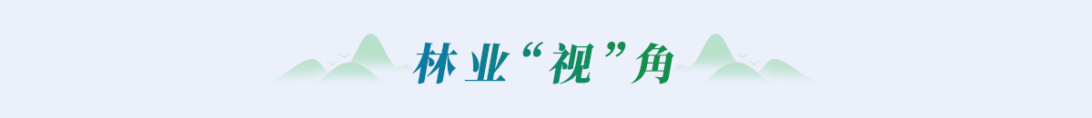 林业“视”角栏目条_fororder_视角