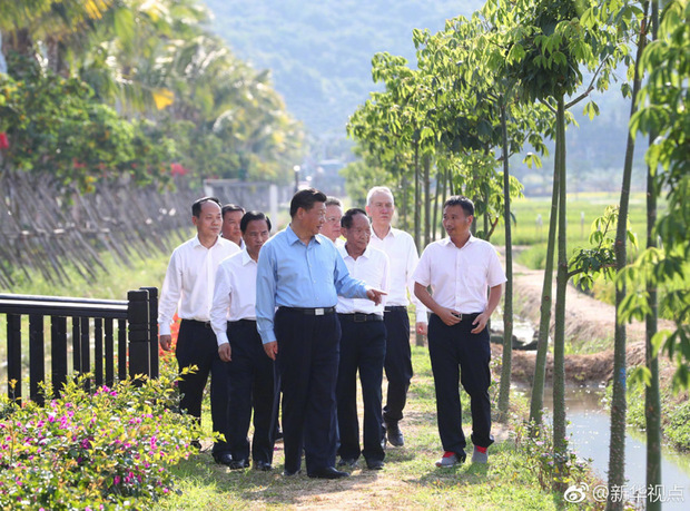 习近平在海南考察时强调：以更高站位更宽视野推进改革开放 真抓实干加快建设美好新海南