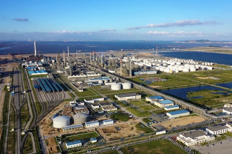 福建惠安：风劲潮涌逐浪高 枝繁巢暖引凤来_fororder_IMG_0851.PNG