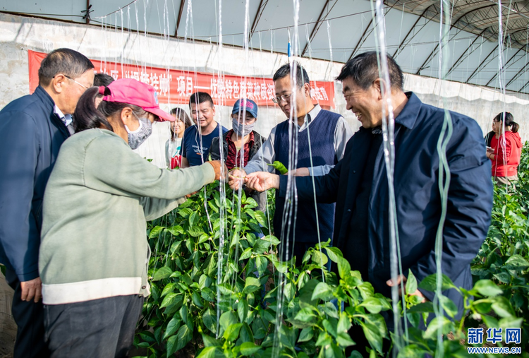 呼和浩特：打造人才“引擎” “赋能”乡村振兴
