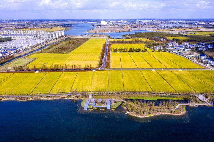 寻求“最优解”！嘉兴推进土地综合整治“一块地”集成改革_fororder_1732159376996847616_720px