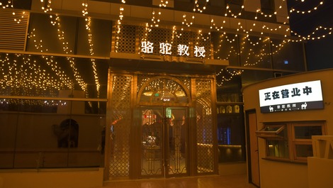 骆驼教授·老巴扎_fororder_高兴