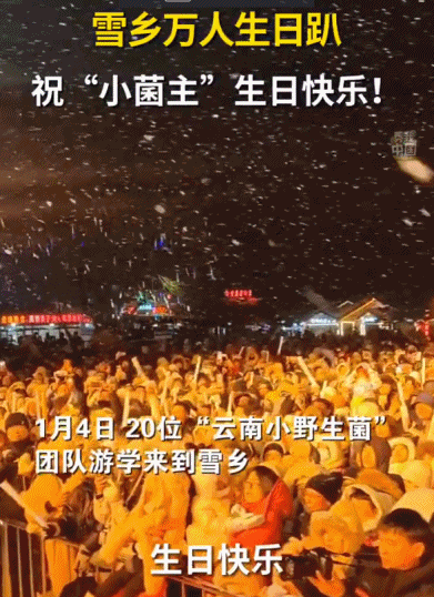 一起追更！哈尔滨开启“宠娃模式”，小砂糖橘之后他们也来了