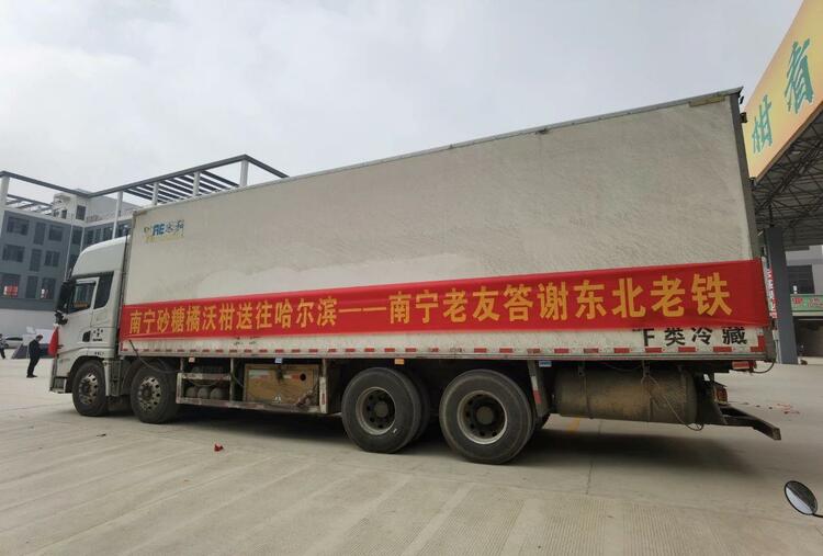 一起追更！哈尔滨开启“宠娃模式”，小砂糖橘之后他们也来了