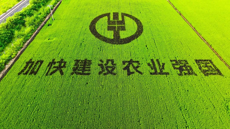 图片默认标题_fororder_图片4