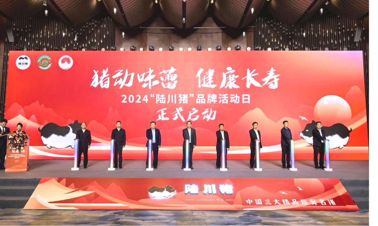 2024年“陆川猪”品牌活动日在广西南宁举行_fororder_图片3