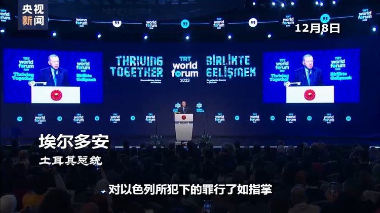 世界周刊丨“墙角”下的加沙