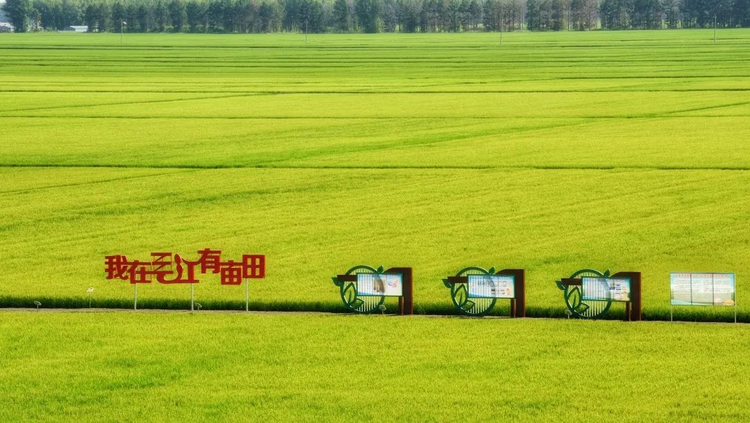 图片默认标题_fororder_图片3