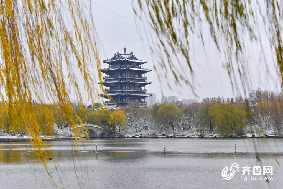 雪后的济南大明湖不只“银装”，原来还有那么多色彩！