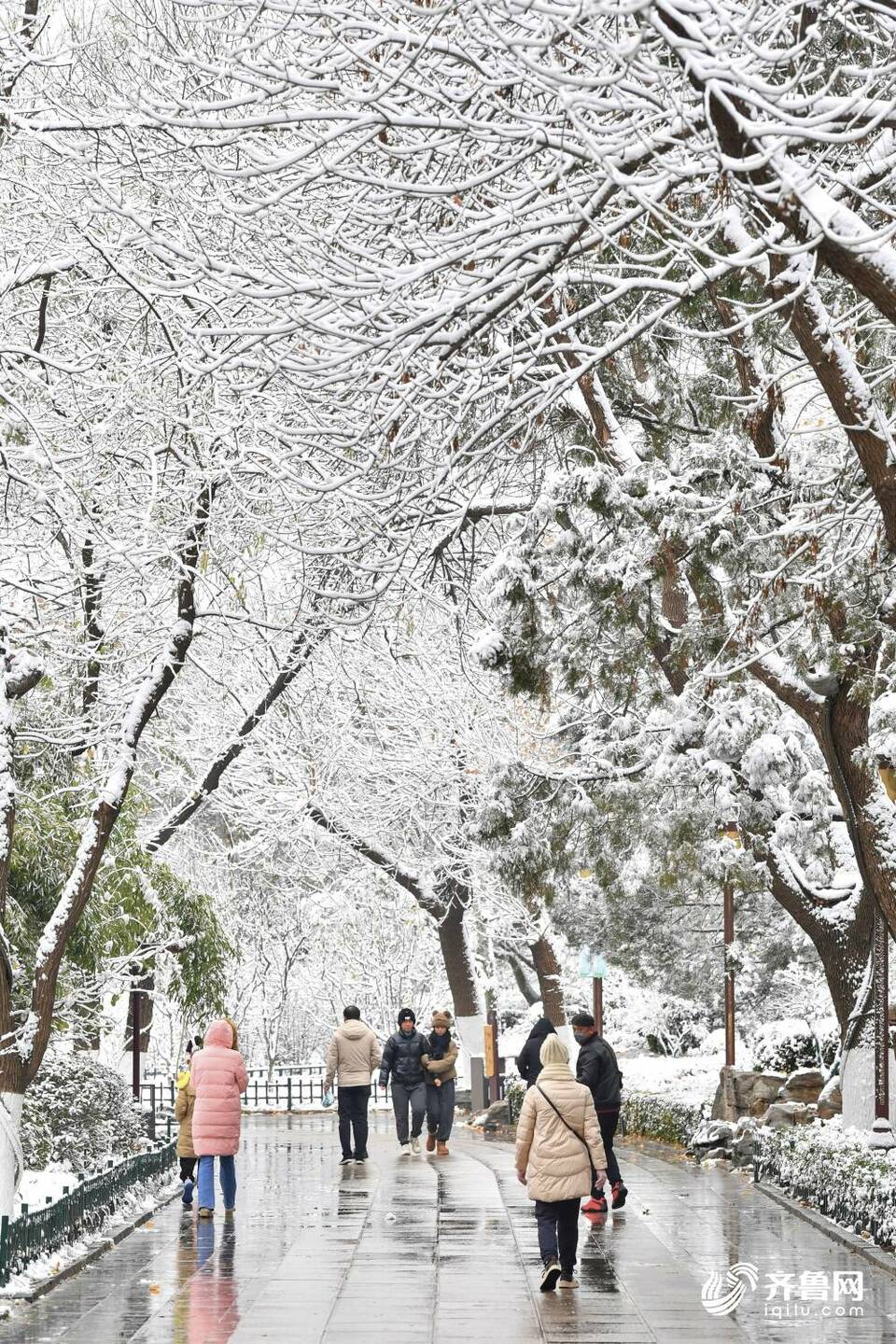 雪后的济南大明湖不只“银装”，原来还有那么多色彩！