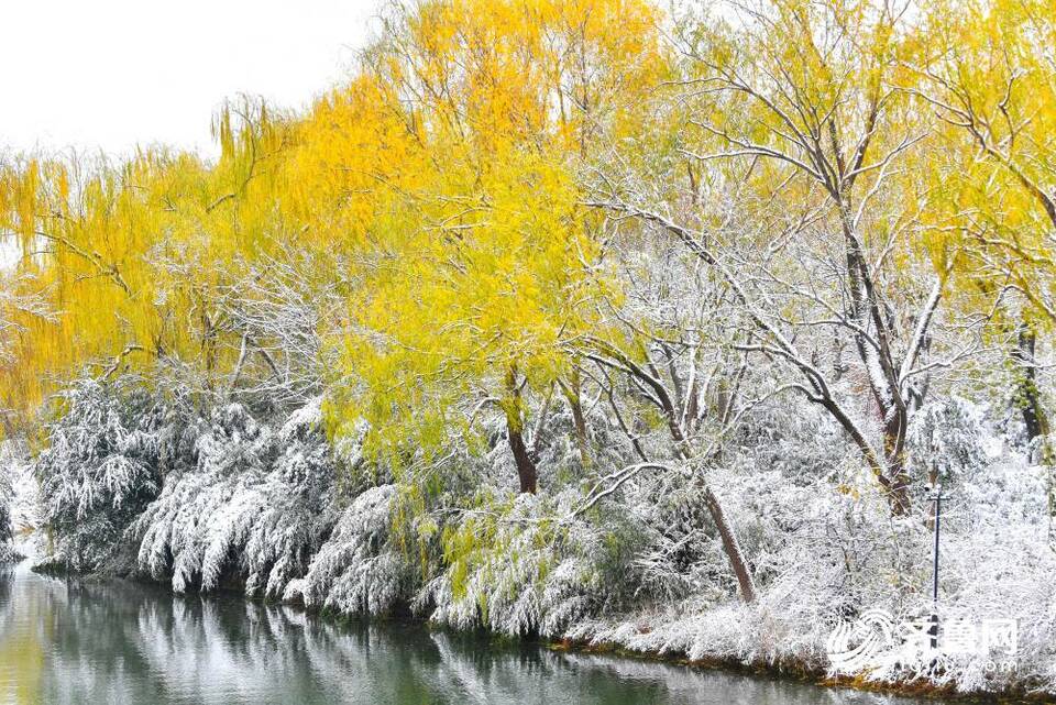 雪后的济南大明湖不只“银装”，原来还有那么多色彩！