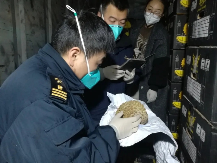 金华海关优质服务护航综保区冷链食品进口_fororder_1734835109829427204_720px