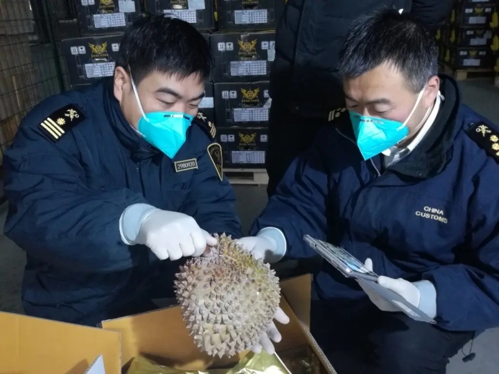 金华海关优质服务护航综保区冷链食品进口_fororder_1734835109829427202_720px