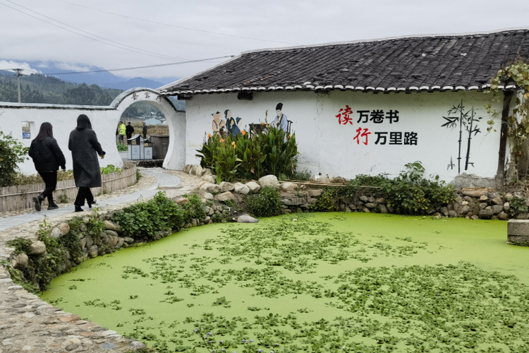 图片默认标题_fororder_图片5