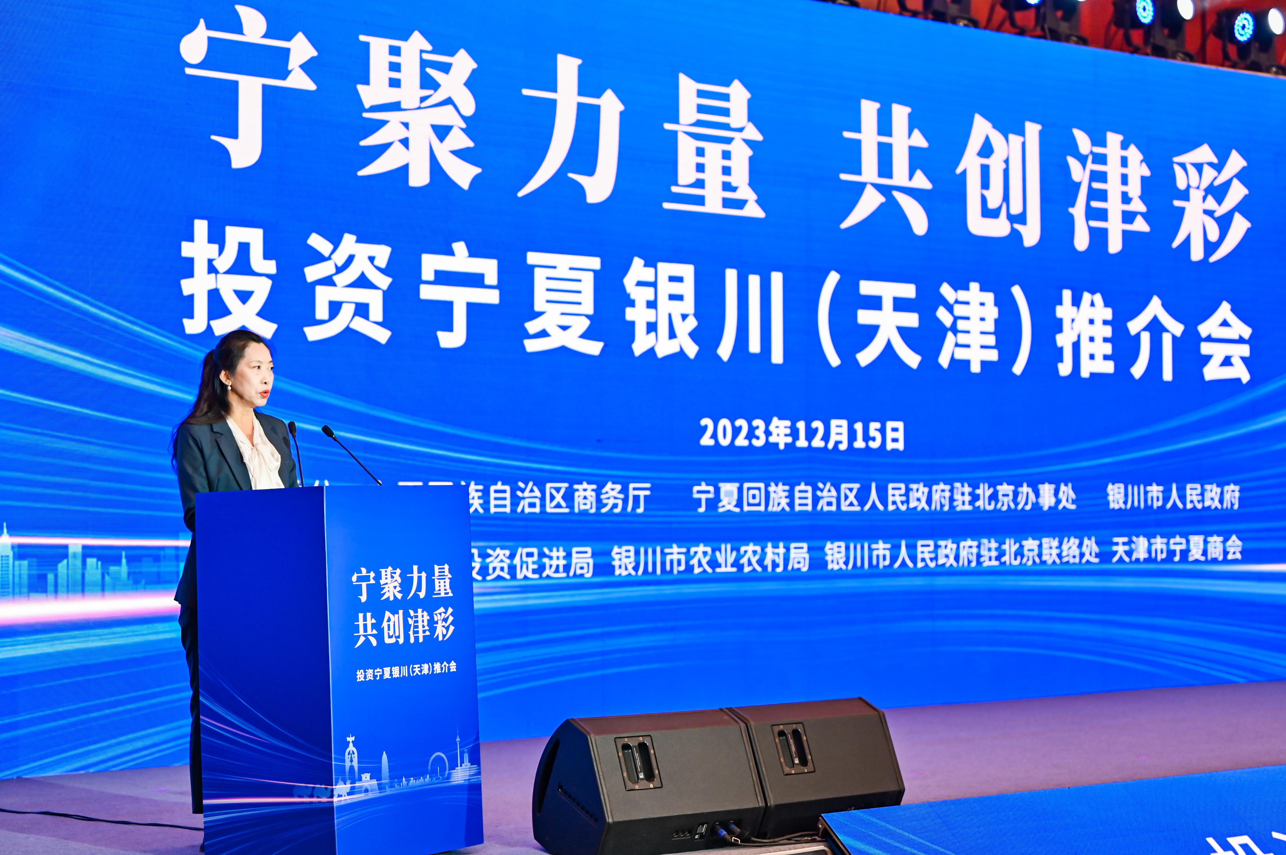 政府创新 商会赋能 投资宁夏银川推介会在天津举行_fororder_1