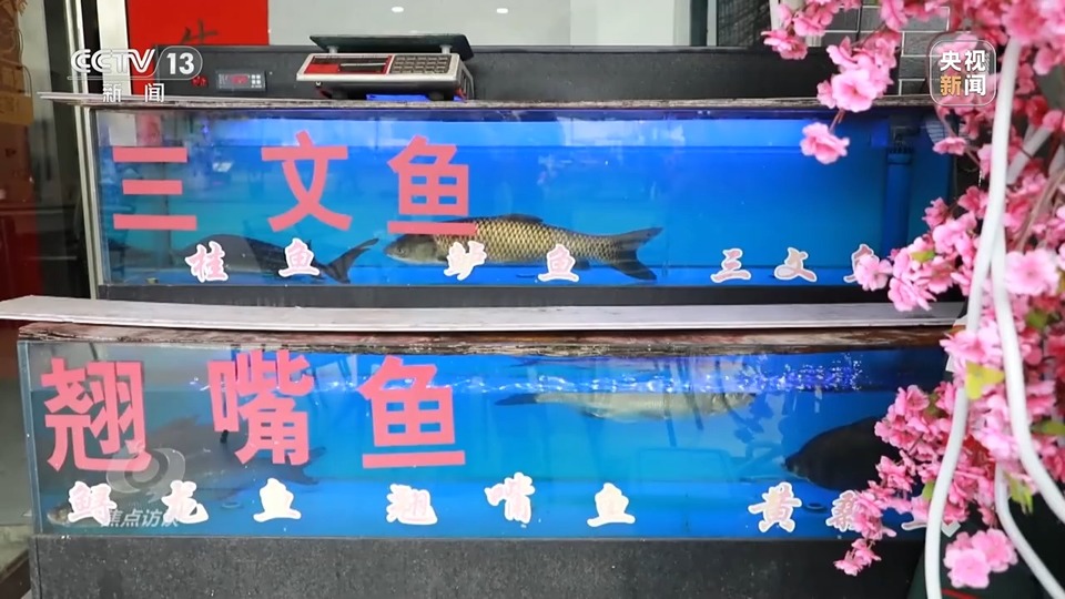 焦点访谈丨长江十年禁捕 告别“水上漂”的渔民如何开启新生活？