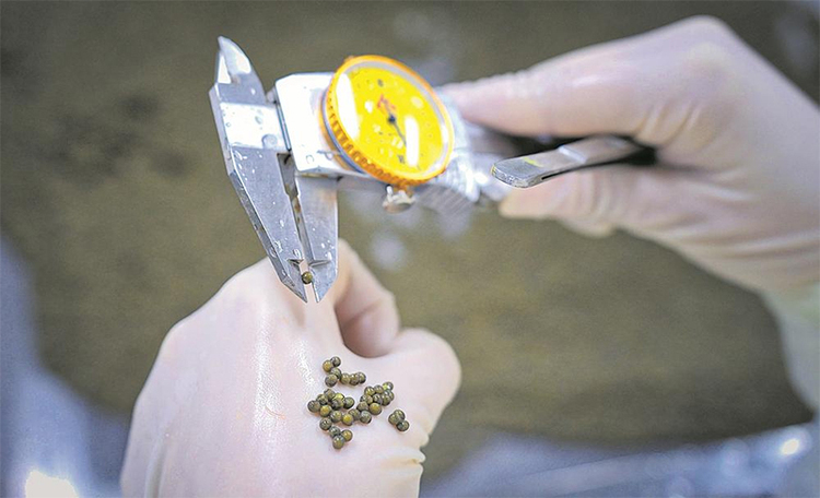 图片默认标题_fororder_未标题-2