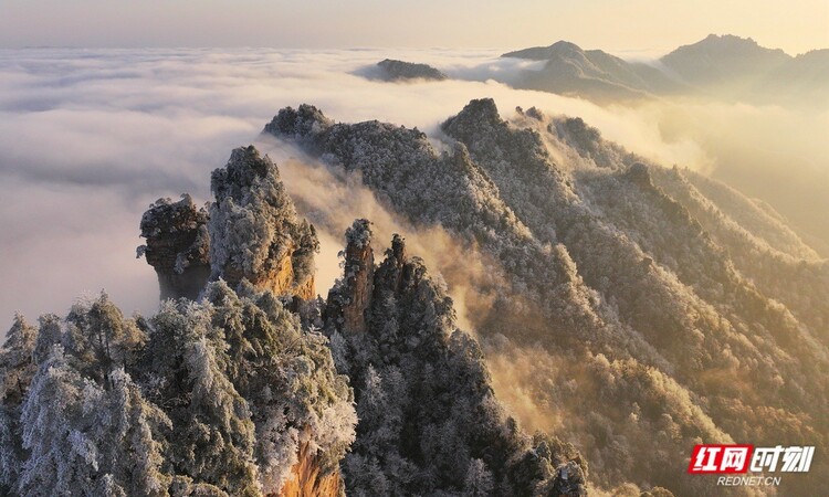 张家界国家森林公园冬天有多美？ 这组雪后大片饱眼福